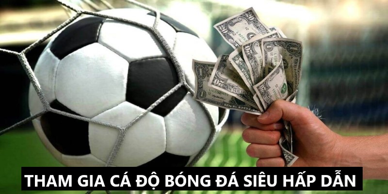 Cá độ bóng đá tại sảnh Saba thể thao đình đám